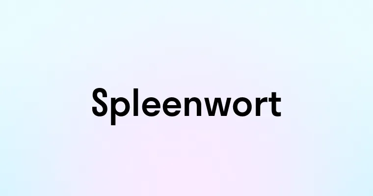 Spleenwort