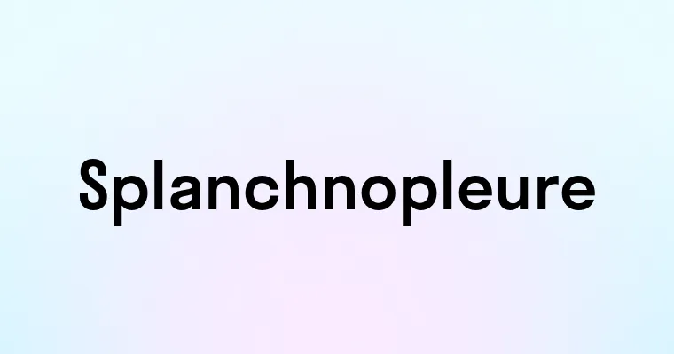 Splanchnopleure