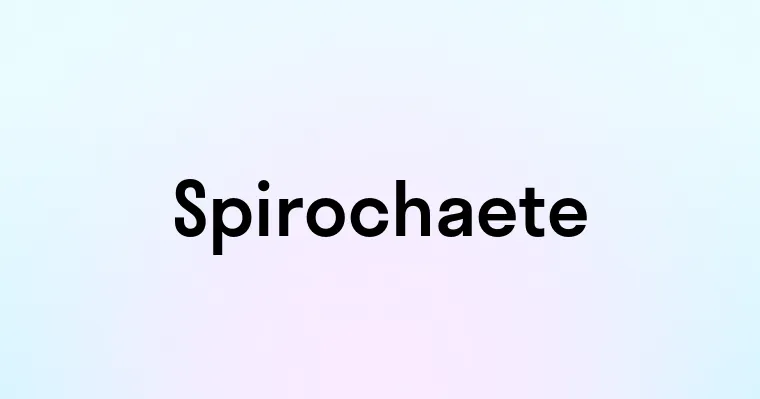 Spirochaete