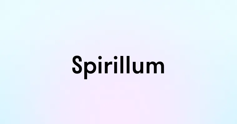 Spirillum