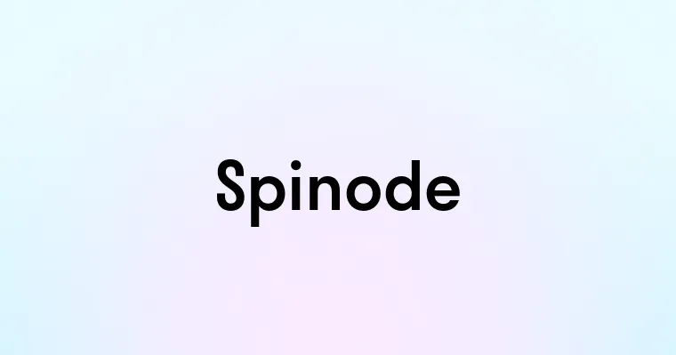 Spinode