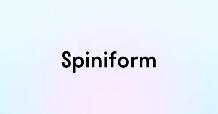 Spiniform — перевод, транскрипция, произношение и примеры