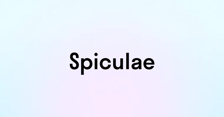 Spiculae