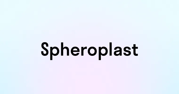 Spheroplast