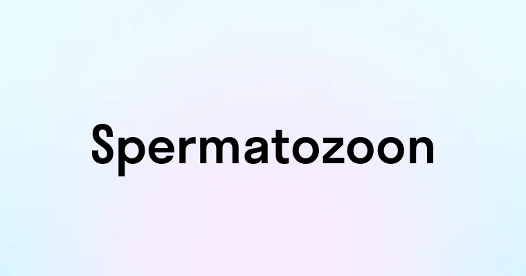 Spermatozoon