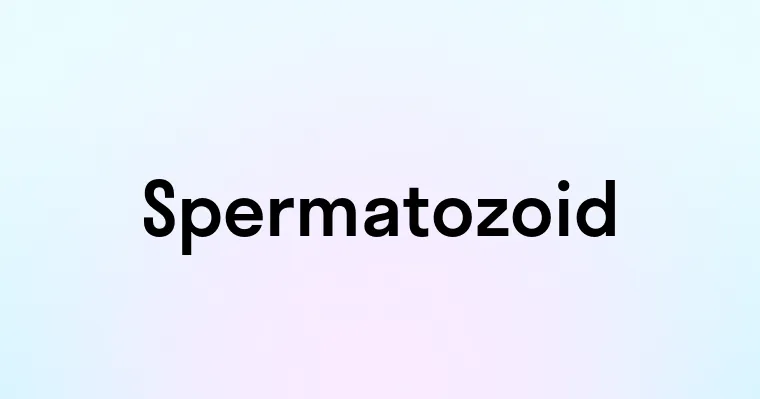 Spermatozoid