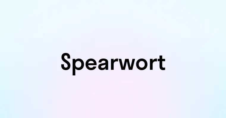 Spearwort