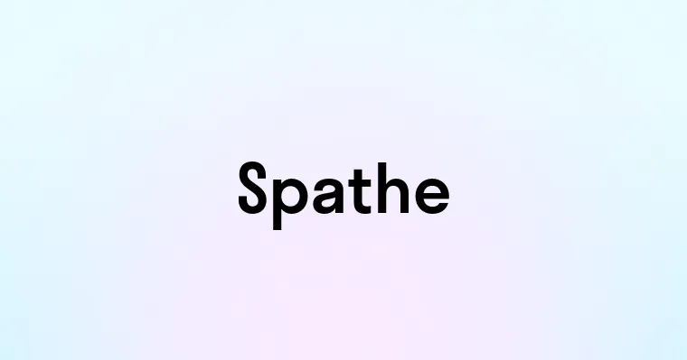 Spathe