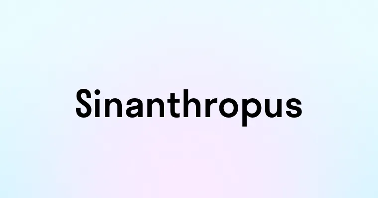 Sinanthropus