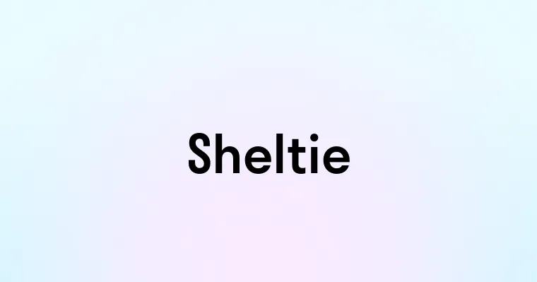 Sheltie