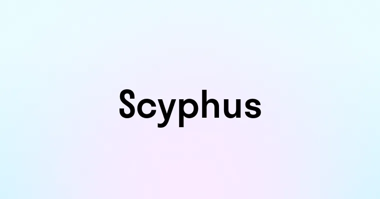 Scyphus