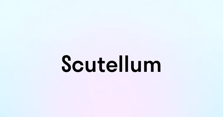 Scutellum