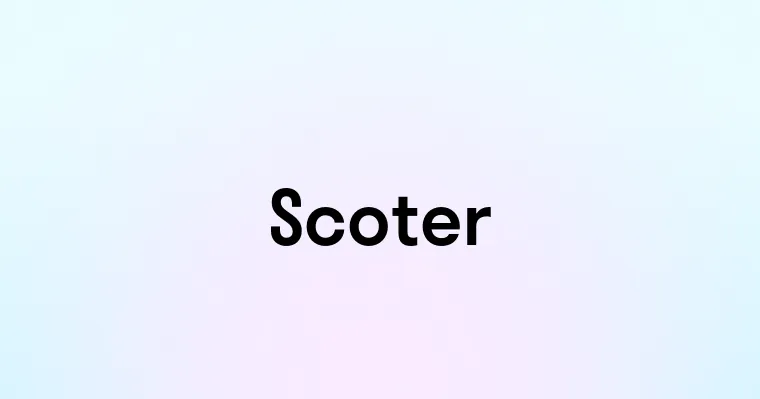 Scoter