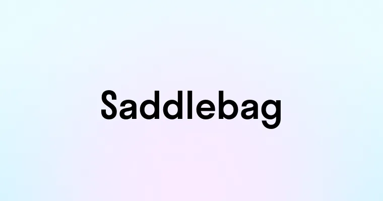 Saddlebag