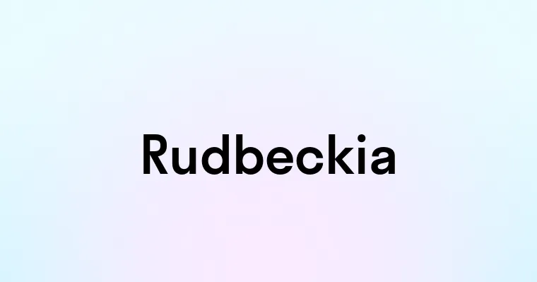 Rudbeckia