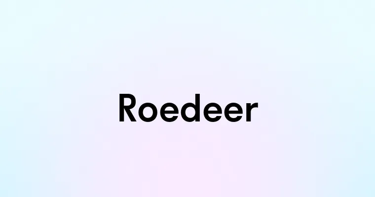 Roedeer