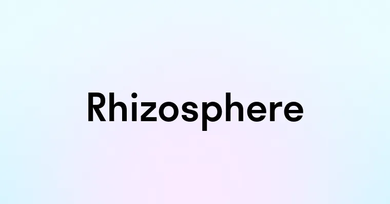 Rhizosphere