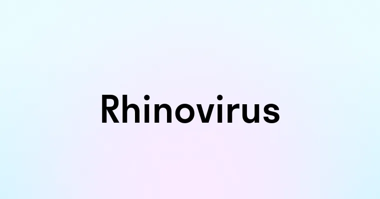 Rhinovirus