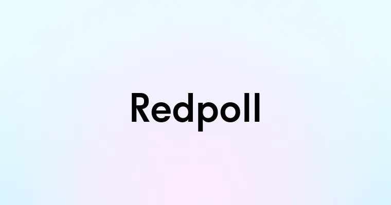 Redpoll