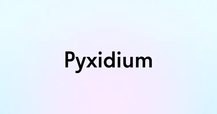 Pyxidium