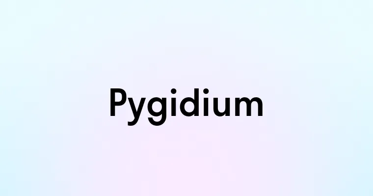 Pygidium