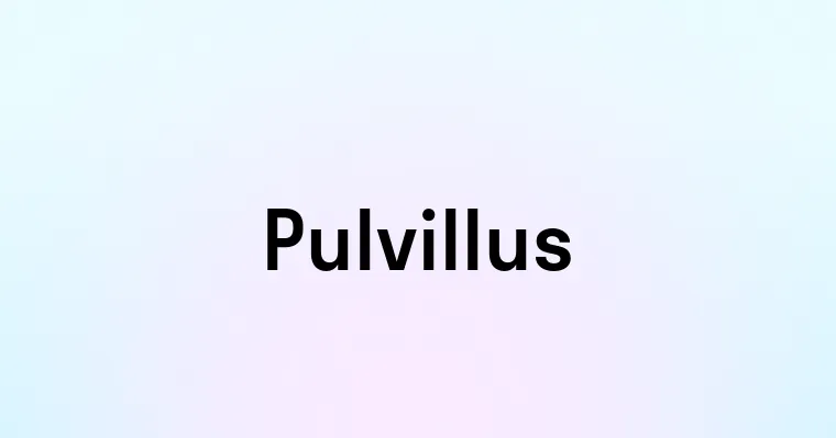 Pulvillus