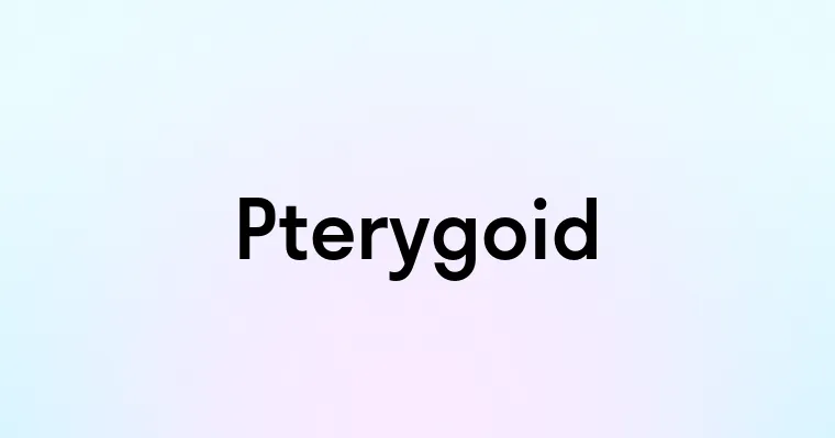 Pterygoid