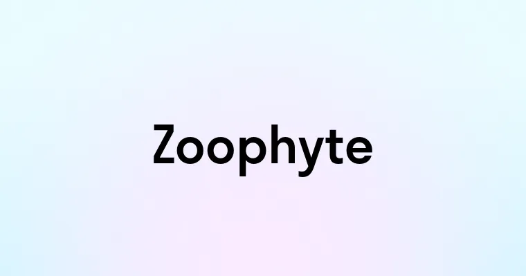 Zoophyte