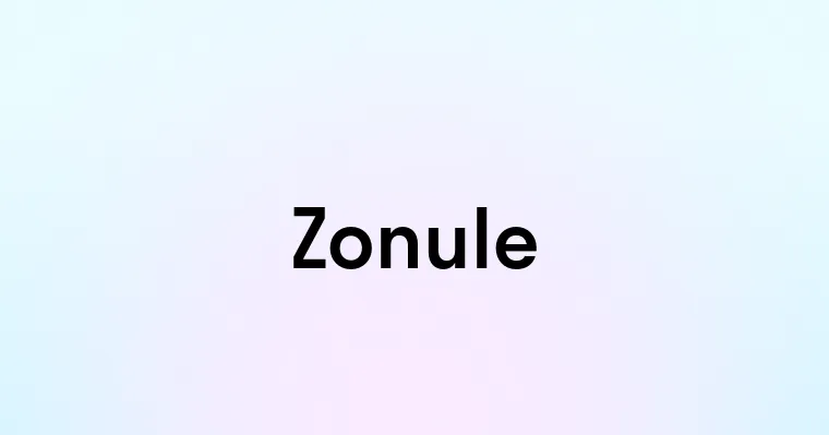 Zonule