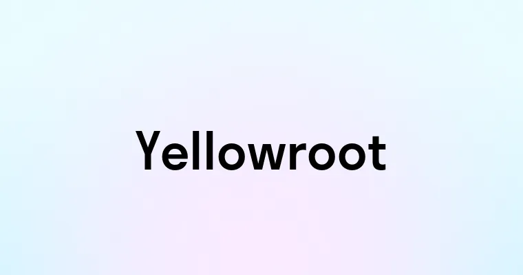 Yellowroot