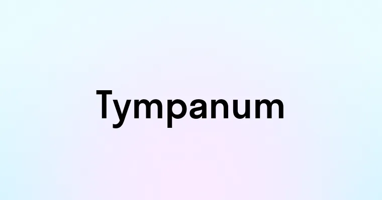 Tympanum