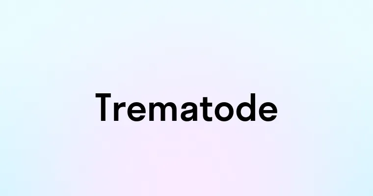 Trematode