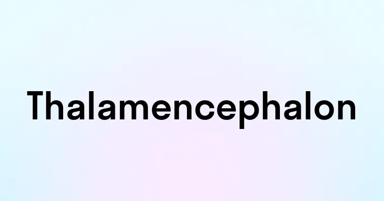 Thalamencephalon