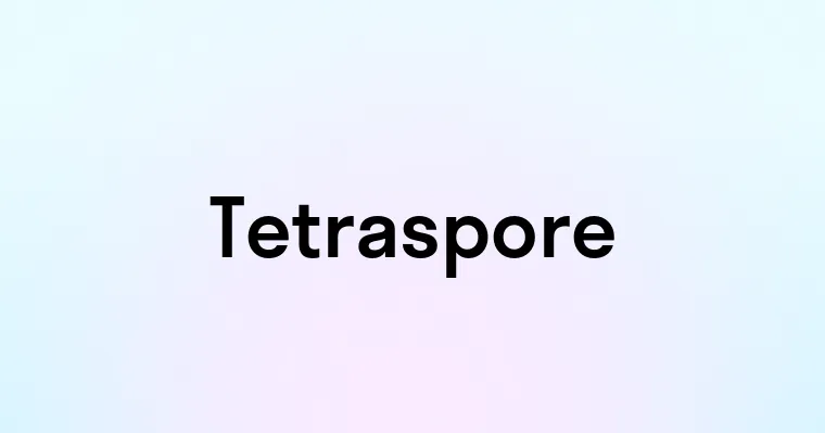 Tetraspore