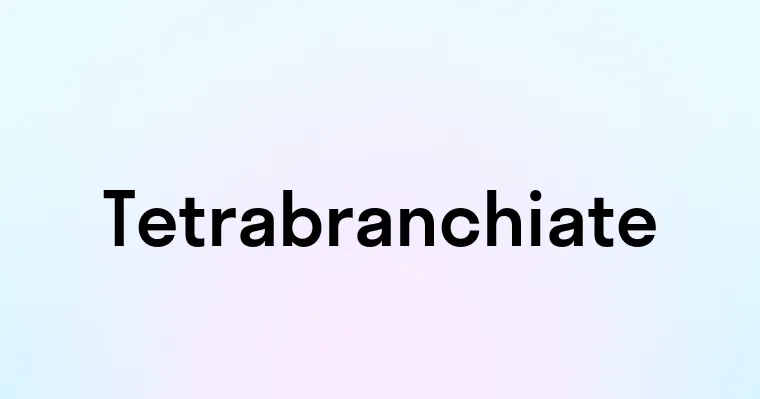 Tetrabranchiate