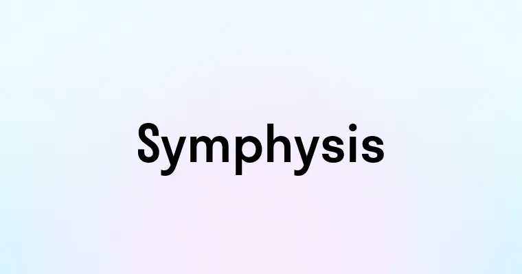 Symphysis