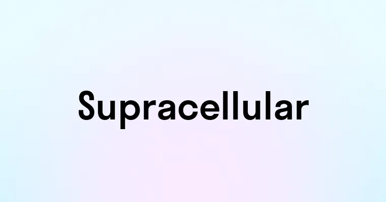 Supracellular