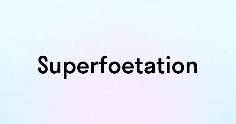 Superfoetation