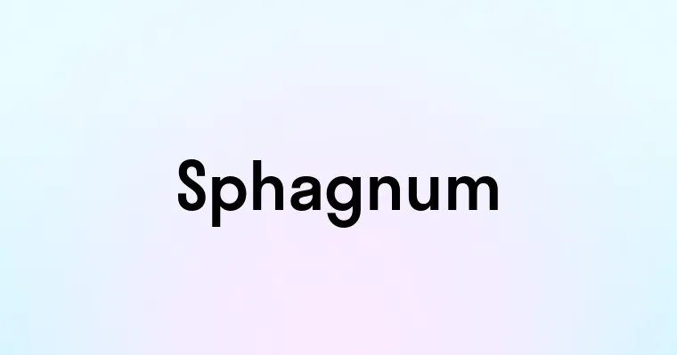 Sphagnum