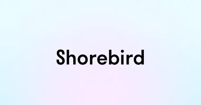 Shorebird