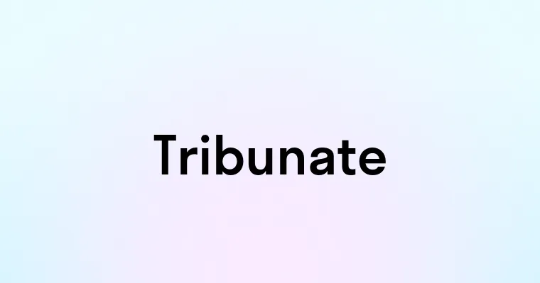 Tribunate