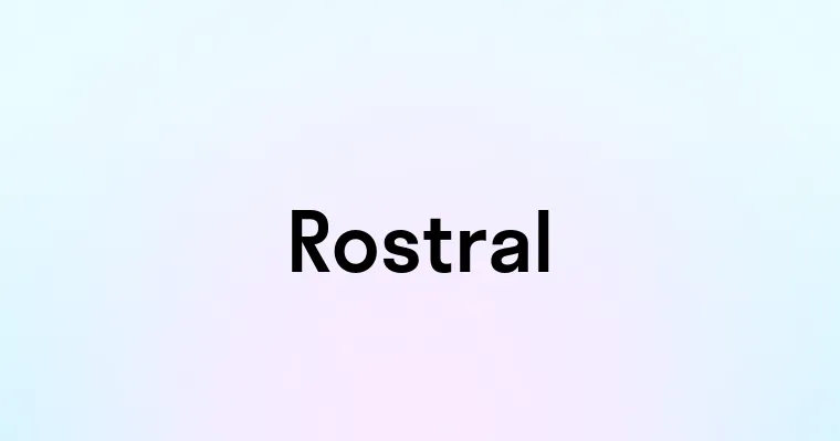 Rostral