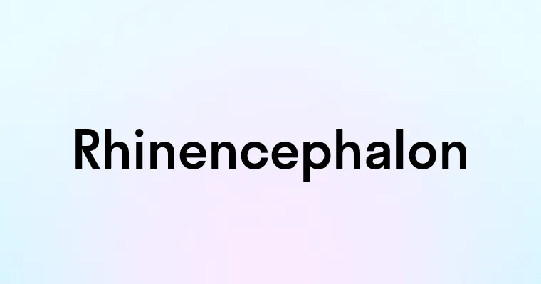 Rhinencephalon