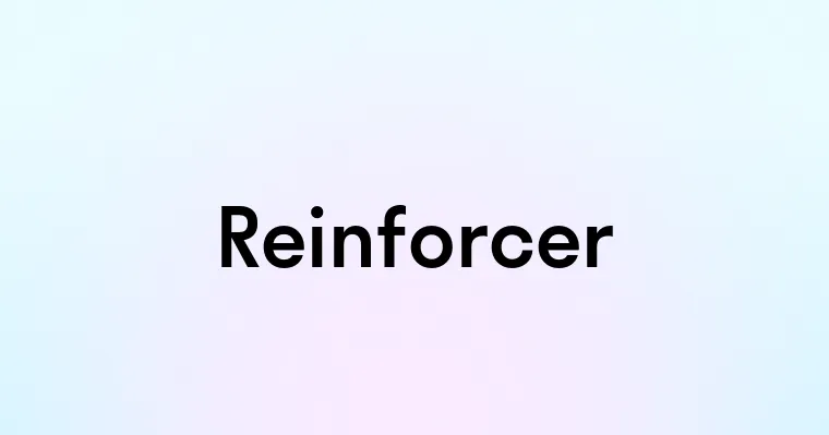 Reinforcer