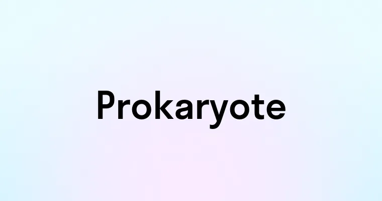 Prokaryote