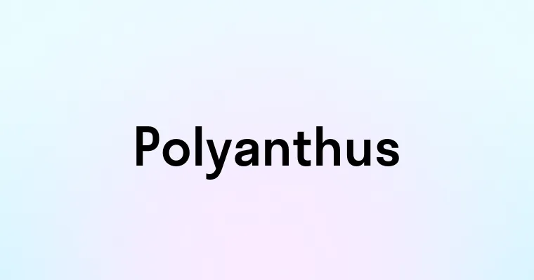 Polyanthus