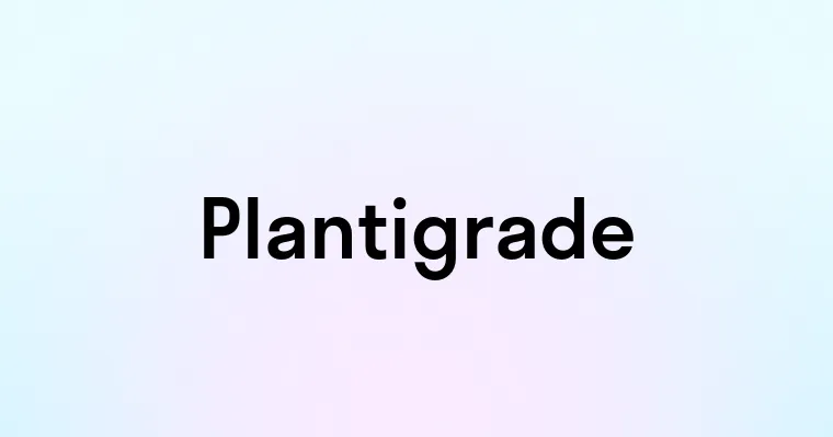 Plantigrade