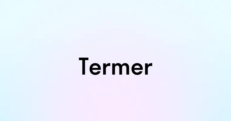 Termer