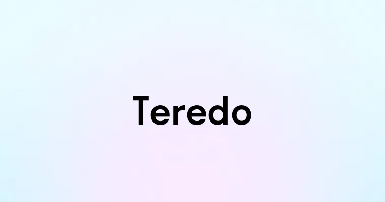 Teredo