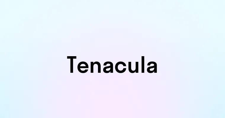 Tenacula